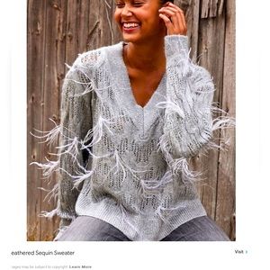 WHBM Feathered Sequin Sweater